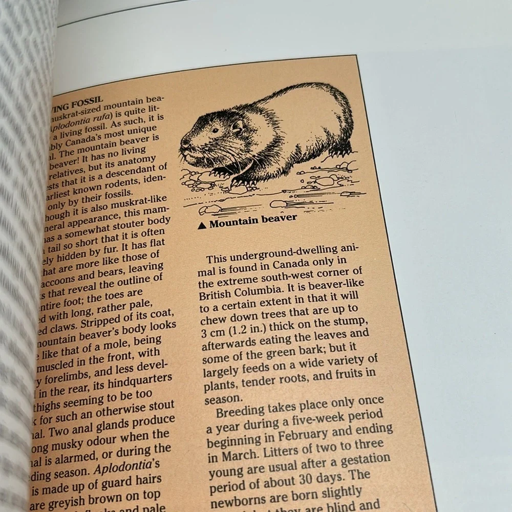 The Natural History of Canada by R.D. Lawrence Vintage Hardcover 1988 Edition - Picture 11 of 16
